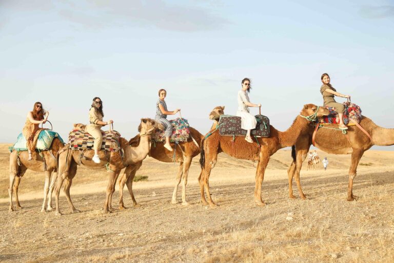 marrakech desert tours