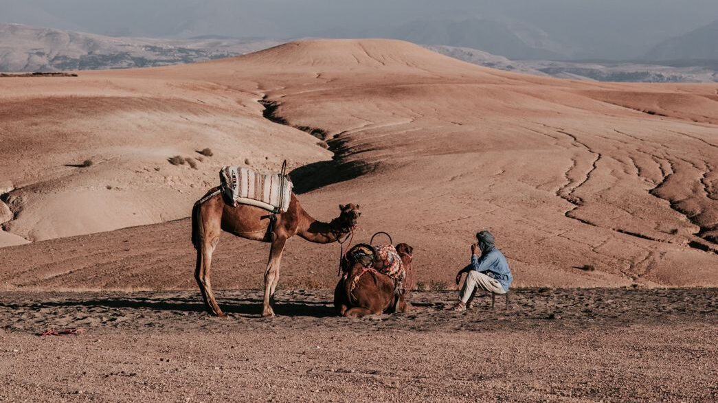 Agafay-marrakech-day-trip