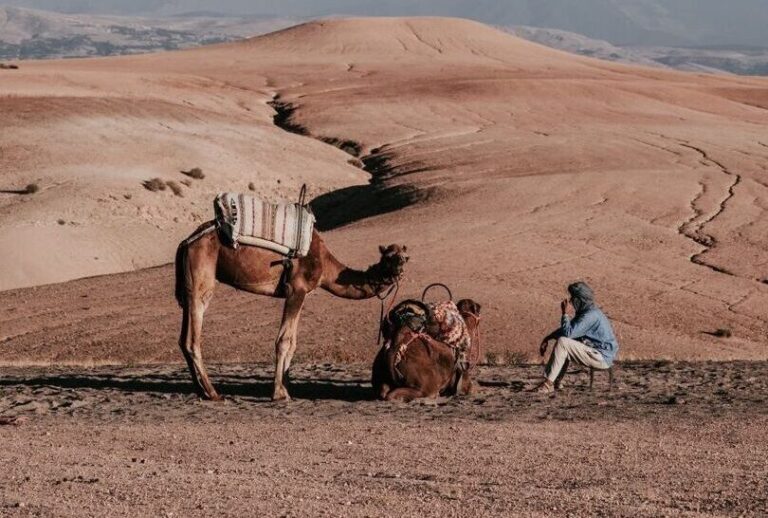 Traditional camel trek in Agafay Desert Morocco