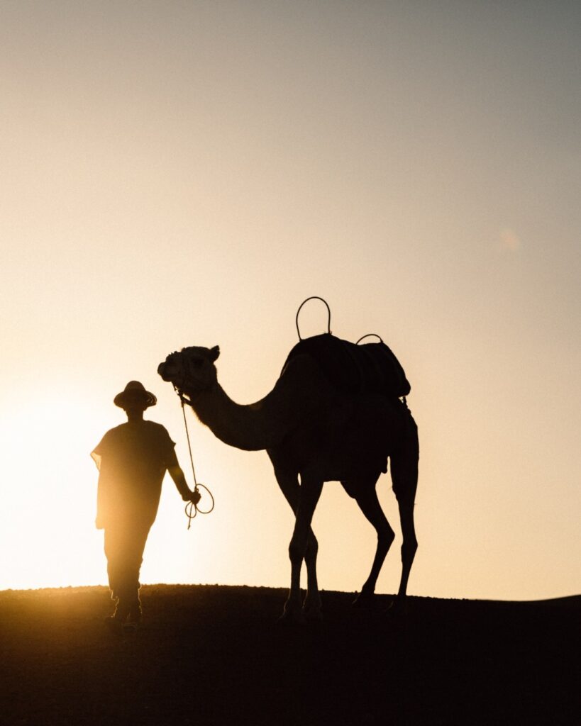 Camel ride at sunset in Agafay Desert near Marrakech