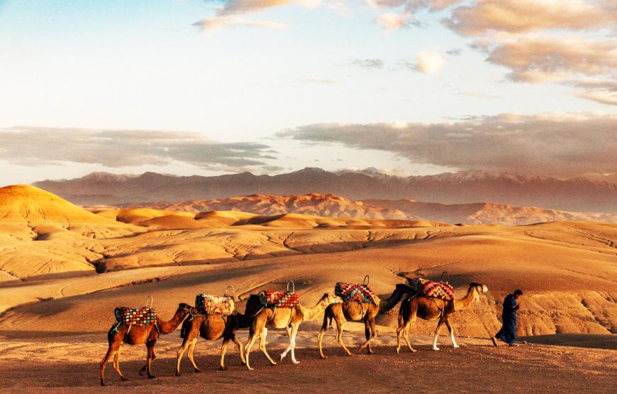 Agafay desert camel ride