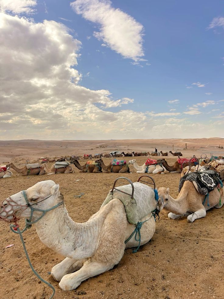 Agafay Desert rocky landscape near Marrakech Morocco