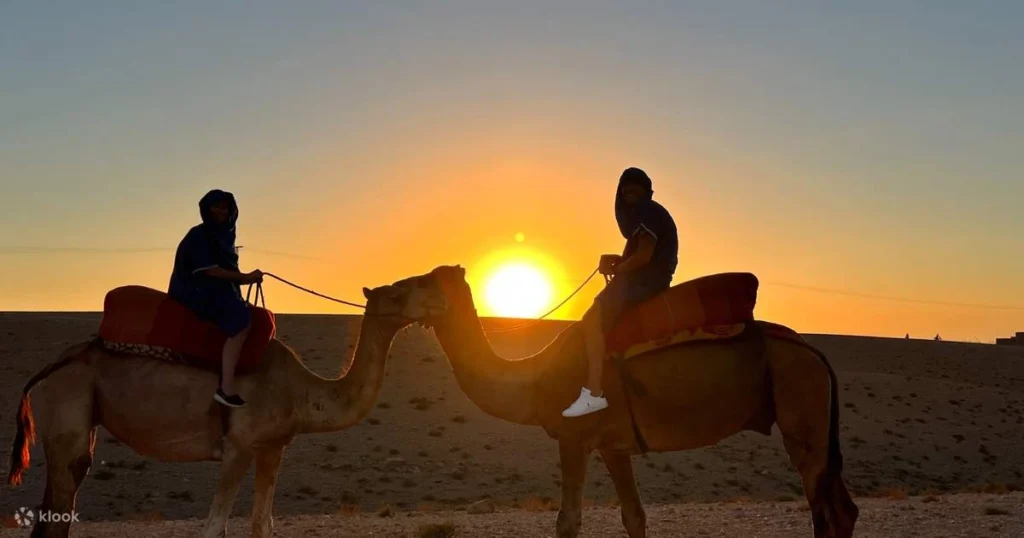 Balade à dos de chameau au coucher du soleil dans le désert d'Agafay