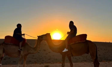 Balade à dos de chameau au coucher du soleil dans le désert d'Agafay
